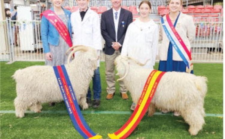 Jason Bannowsky, center, recently traveled to Sydney, Australia to judge the Sydney Royal Easter Show's Mohair goat category. He is pictured here with the Grand Champion and Reserve Grand Champion senior Angora Bucks and their exhibitors. The Royal is the country's largest ticketed event annually. Courtesy Photo.