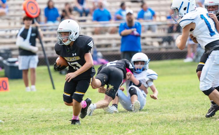 Sixth-grade Junior Jacket Walker Hines picks his way through the Eden Bullpup defense last Thursday in the Jr. Jackets win over Eden JH. Eight-grader Karson Mayfield helps clear the way. MHS JV also came out on top when the game against Eden JV was called for weather. See more Yellowjacket football on page 9; photos on page 10. Nora Davis, photo.